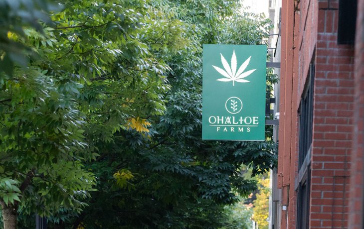 Marijuana Dispensary