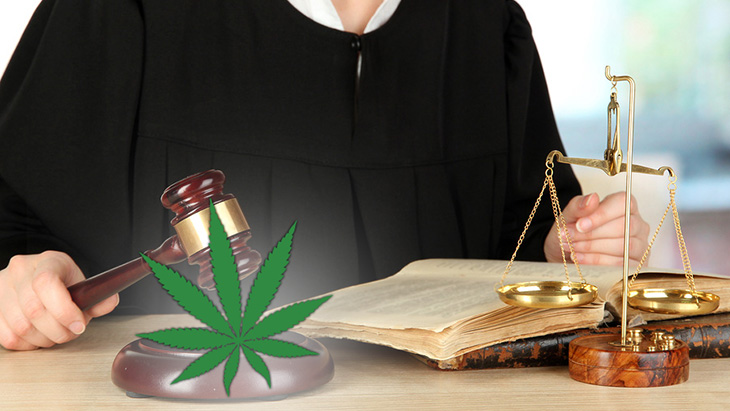 Cannabis Ruling