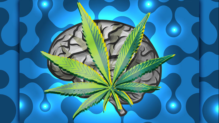 Marijuana and the Brain