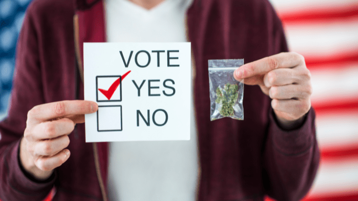 legalization vote yes