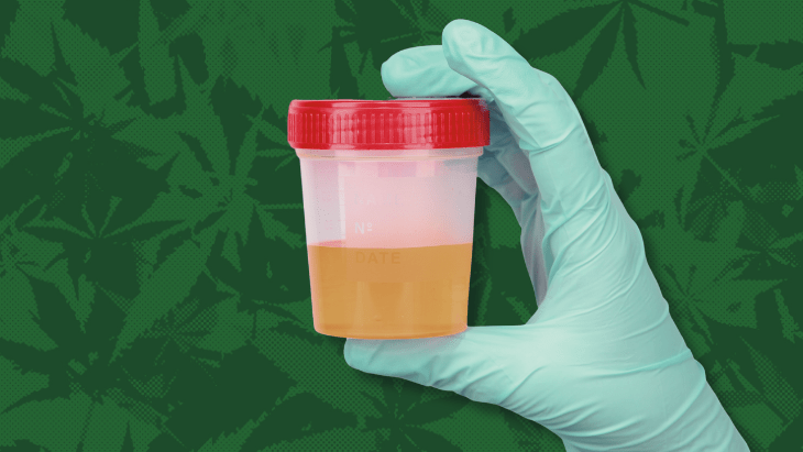 thc drug testing