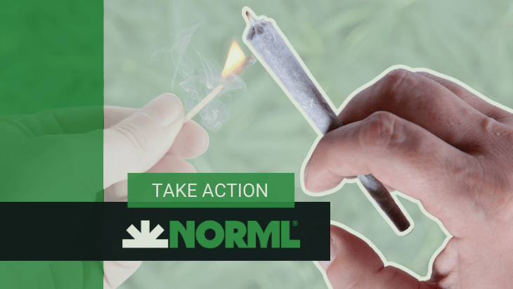 NORML Action Alert