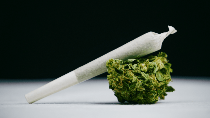 a legal cannabis joint rests atop a cannabis flower