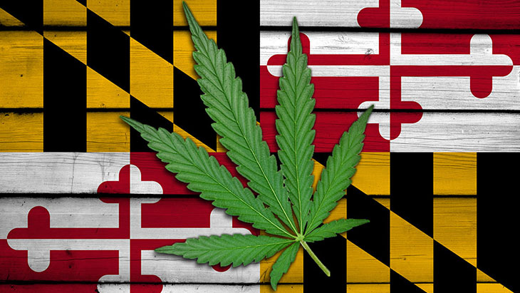 A marijuana leaf on top of the Maryland flag