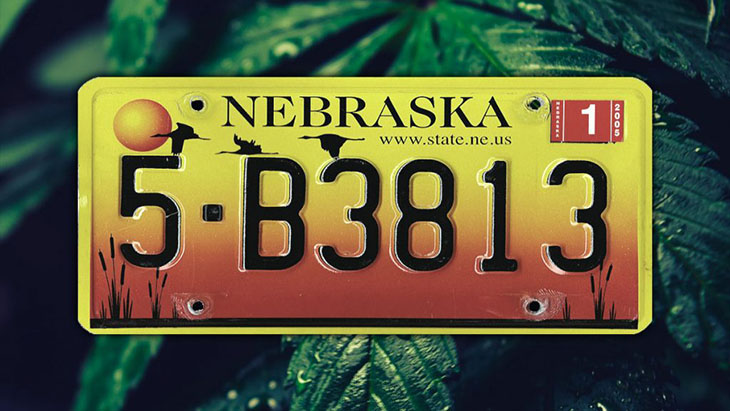 Nebraska license plate over a background of marijuana leaves