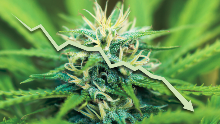 An arrow depicting a downward trend over a marijuana plant