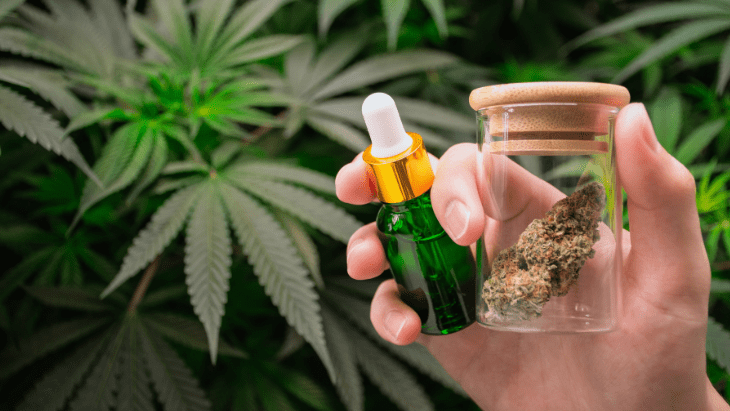 hand holding green bottle of cannabis oil and glass jar containing cannabis flower in front of marijuana plants