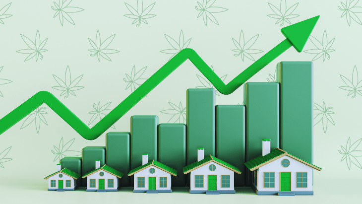 cannabis home values
