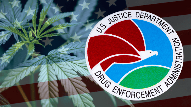 DEA seal over a US flag with cannabis leaves
