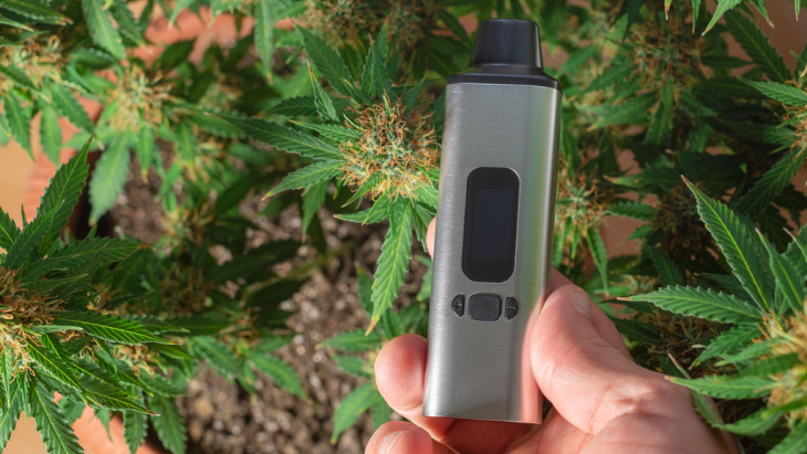 A hand holds a vaporizer over a budding flowering plant