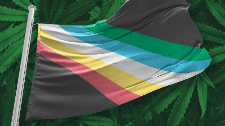 The Disability Pride flag flying against a background of cannabis leaves