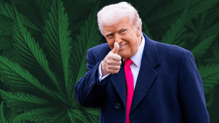 Donald Trump gives a thumbs up in front of a marijuana leaf background