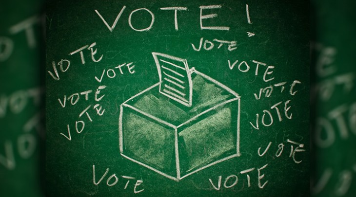 Vote for Marijuana Initiatives