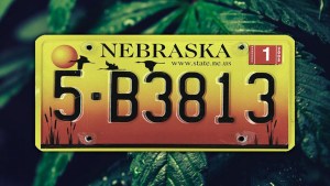 Nebraska license plate over a background of marijuana leaves
