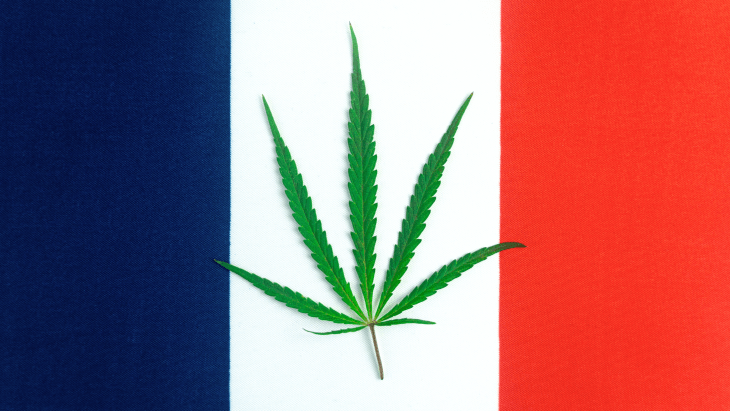 a cannabis leaf rests atop the flag of France