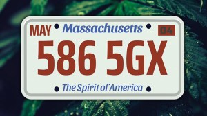 massachusetts marijuana laws