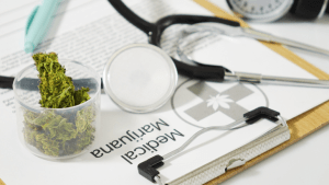 medical cannabis certification