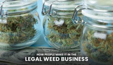 People Make It In the Legal Weed Business