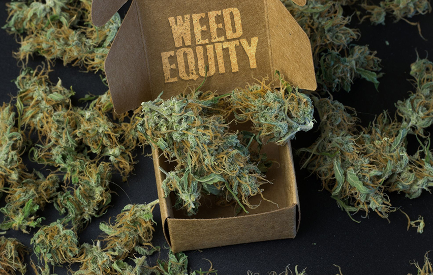 Delivery Answer to Weed Equity