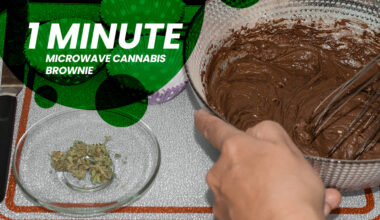 Microwave Cannabis Brownie