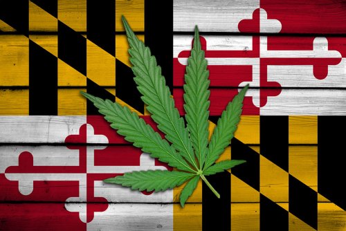 Maryland Marijuana Laws