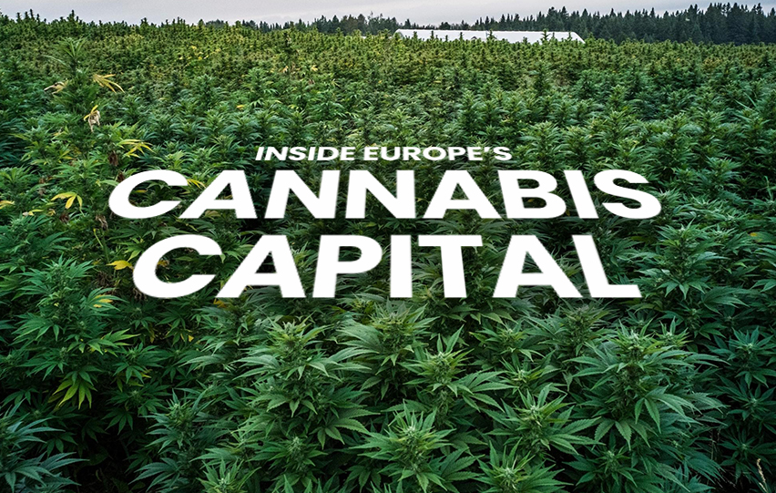 Europe’s Cannabis Capital