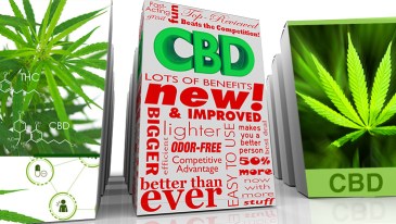 CBD Purity