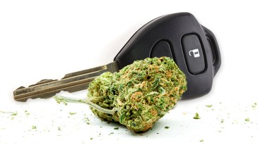 Marijuana and Driving