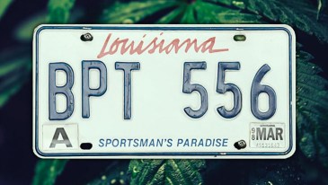 Louisiana Marijuana Laws