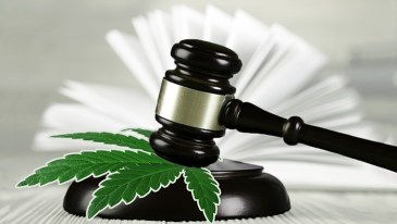 Marijuana Expungement Laws