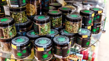 Cannabis Retail