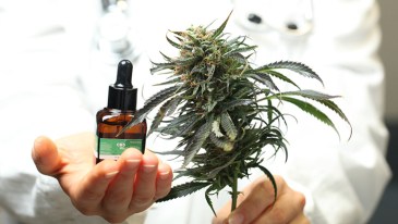 CBD Medical Marijuana