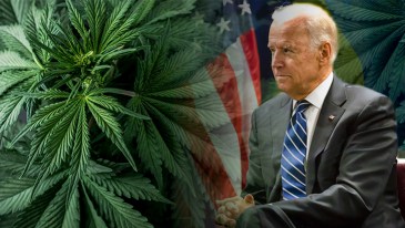 Joe Biden and Marijuana