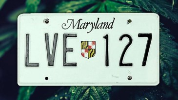 Maryland marijuana laws