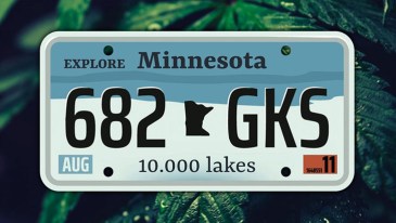 minnesota marijuana laws