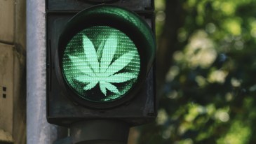 green traffic light with cannabis sign