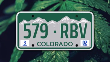 Colorado Marijuana Laws