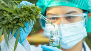 cannabis researcher with plant and bottle of oil