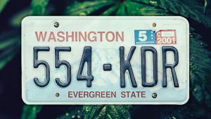 Washington marijuana laws