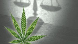 Marijuana Justice