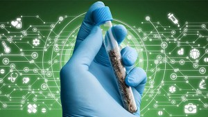 Medical Marijuana Science