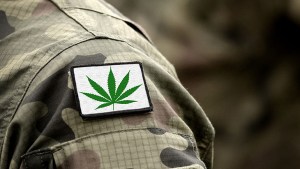 Marijuana and Veterans