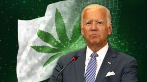 Joe Biden Marijuana