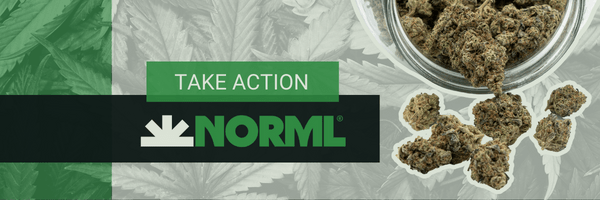 NORML Action Alert