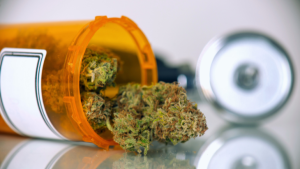 dried medical cannabis flower buds spill out of an open prescription bottle