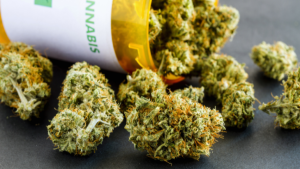 dried medical cannabis flower buds spill out of an open prescription bottle