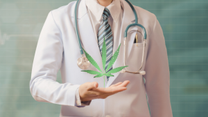 doctor cannabis