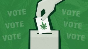 stylized image of a hand placing a ballot marked with a marijuana leaf into a box against a soft background of cannabis leaves and the word VOTE