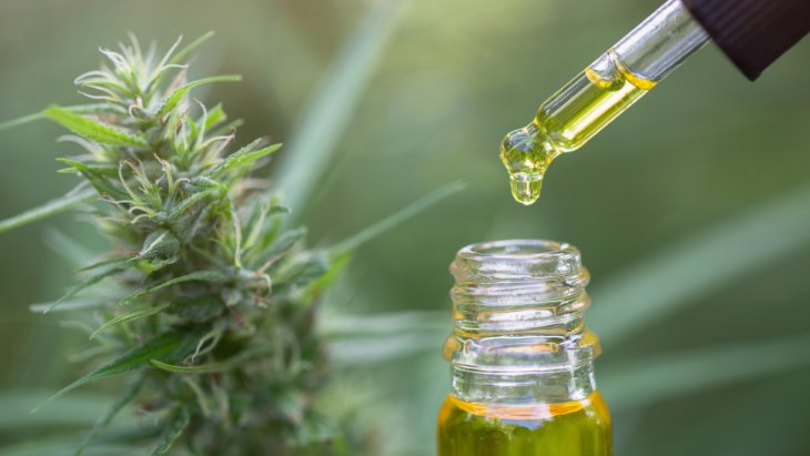 cannabis oil extract