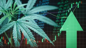 A chart indicating increasing cannabis sales